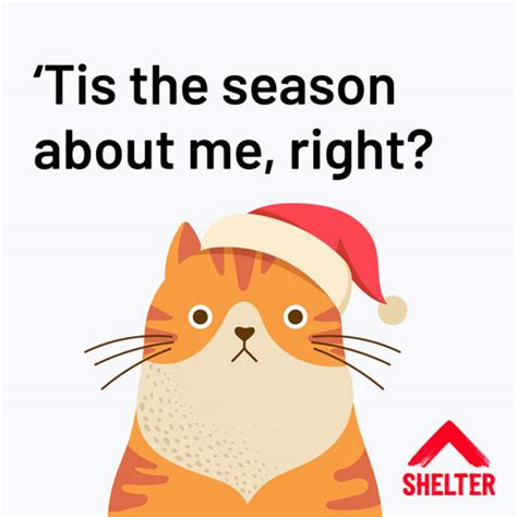 charity christmas ecards|Shelter Christmas eCards .
